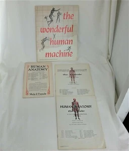 LOT of 4 Vintage Female & Male Human Anatomy Booklets c. 1960 - Picture 1 of 6