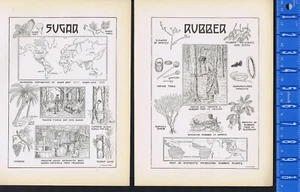 Landwirtschaft: Zucker & Gummi - 1924 Seiten Geschichte - Bild 1 von 1