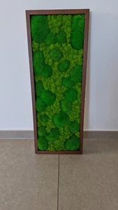 Wandbild Moosbild Dekoration - Bild 1 von 4