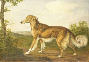 Splendida stampa scenografica vintage di cane - Foto 1 di 1