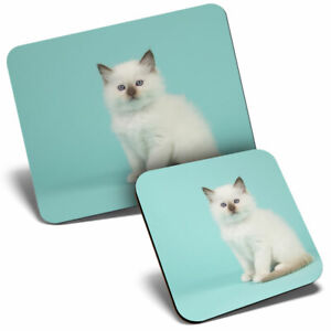 Mouse Mat & Coaster Set - White Baby Ragdoll Kitten Cat  #21175