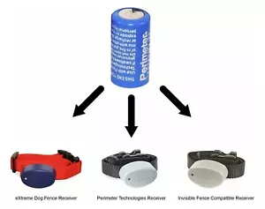 eXtreme Dog Fence and Perimeter Technologies - 6v Dog Fence Collar Batteries - Picture 1 of 4
