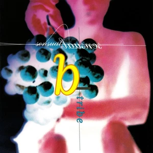 B-Tribe – Sensual Sensual - Club Edition - Like New! - Preowned CD - Picture 1 of 4