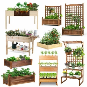 UK City Garden Raised Bed Elevated Flower Vegetable Grow Planter Box Seed Soil - Picture 1 of 49