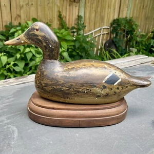 Antique Signed EVANS DECOY Mallard Hen + Cherry Wood Base - Picture 1 of 22