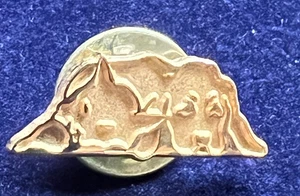 PDSA KATZE HUND LOGO GOLDFARBEN SELTEN ANSTECKNADEL ABZEICHEN - Bild 1 von 3