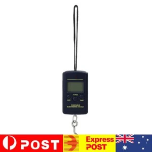 Portable LED 40kg/10g Electronic Hanging Fishing Digital Pocket Hook Scale - Picture 1 of 12