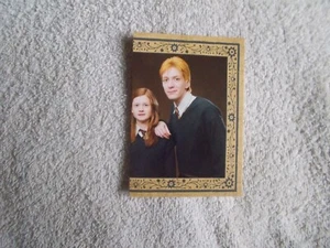 Panini: Harry Potter Evolution 2022 "THE WEASLEYS" #234 Trading Card - Picture 1 of 2
