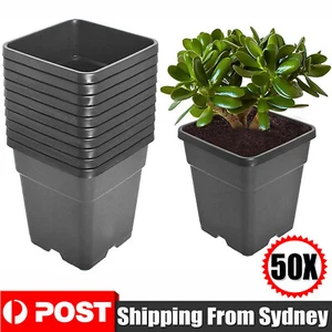 50PCS Plastic Plant Flower Pots Nursery Seedlings Garden Plant Pot Container AUS - Picture 1 of 12