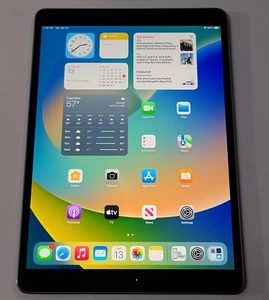 Apple iPad Pro 1st Gen A1701,64GB, Wi-Fi, 10.5",Gray,Back Light :ID116 - Picture 1 of 11