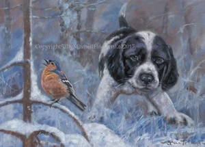Paquete de 10 tarjetas de Navidad Springer B/W Pup in Snow por J Trickett C515X NUEVAS - Imagen 1 de 1
