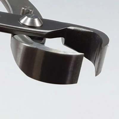 Kaneshin Bonsai Tools Root Cutter Stainless Steel No812 180mm Made In Japan NEW - Image 1 of 4