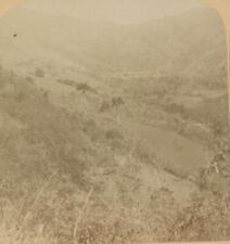 1899 GUAYAMA PORTO RICO LITTLE FARMS ON THE HILLSIDES UNDERWOOD STEREOVIEW 33-53
