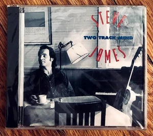 STEVE JAMES: TWO TRACK MIND (1993) CD—ANTONE'S RECORDS—NEW & SEALED - Picture 1 of 2