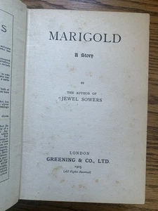 1905 Marigold A Story Edith Allonby 1st Ed Publishers Stamp Satirical Fantasy - Picture 1 of 11