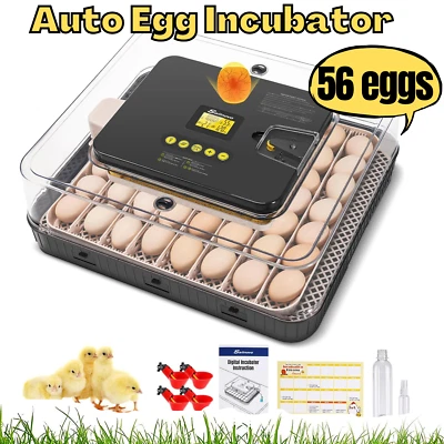 SAILNOVO 12/18/24/56 Egg Incubators for Chicken Eggs with Automatic Egg Turning 360° View