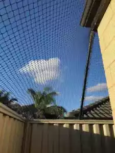 Cat Netting 50m x 2m – Low Visibility Black PREMIUM– 19mm - Cats Playground Safe - Picture 1 of 12