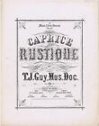 Caprice Rustique, Cluett & Sons, Troy, NY 1871