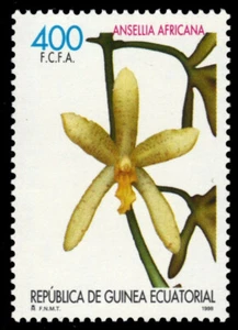 ÄQUATORIALGUINEA 233c - Orchideen "Ansellia africana" (pb62499) - Bild 1 von 1