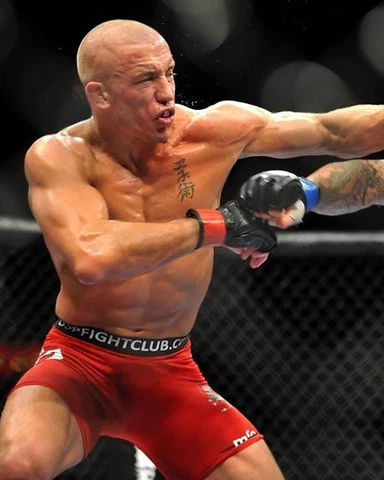 UFC MMA GSP GEORGE ST PIERRE Mixed Martial Arts Glossy 8x10 Photo Print Poster Cover