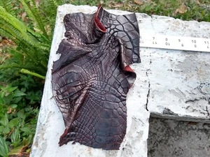 Wild Alligator Gator Leg Leather Scrap piece crafter craft insert Rust AP38 - Picture 1 of 22