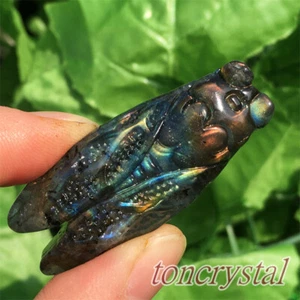 2" Rainbow Labradorite Cicadas Crystals Skull Carved Quartz Spectrolite 1pc - Picture 1 of 11