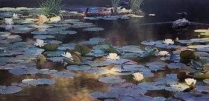 Leaving the Lilies signierter limitierter Druck von Sandra Wiesman Weiler - Loon - Bild 1 von 1