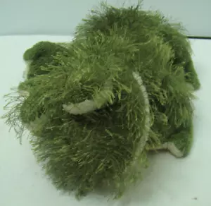 Peluche Webkinz Rana Ganz Ganz Peluche Verde HM001 Con Código Rana - Imagen 1 de 12