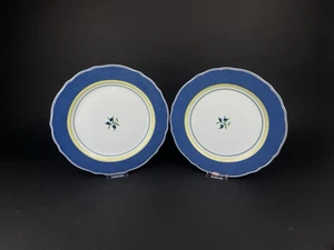 Plato de comida Hutschenreuther Medley Mantova plato plano 30,5 cm 2 piezas - Imagen 1 de 11