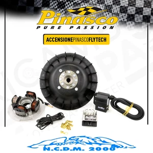 KIT ACCENSIONE ELETTRONICA PINASCO FLYTECH VOLANO 0,9 Kg VESPA PX 125 ARCOBALENO - Imagen 1 de 6