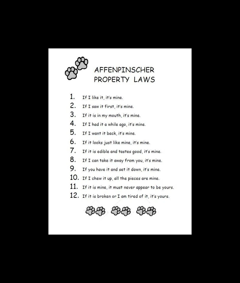 Affenpinscher - CUSTOM MATTED - Dog Art Print - P/L - Image 1 of 1