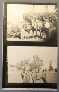 Vintage RPPC B/W Postcard - Man & Family with Horses - Picture 1 of 4