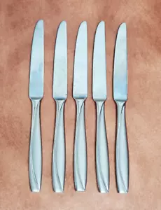 Juego de 5 cuchillos de cena de acero inoxidable Oneida CAMLYNN CLEO 9,5" mango de escarcha - Imagen 1 de 7