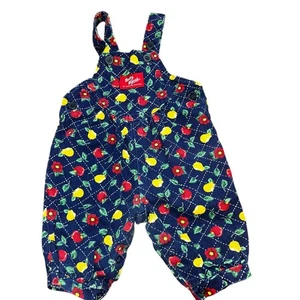 Vintage Oshkosh B'Gosh blue Fruit Apple Pear Floral romper overalls girl 3-6m - Picture 1 of 10