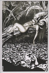 Vampirella vs Purgatori #5 Russell Fox Virgin variante B&W 1:11 - Foto 1 di 1
