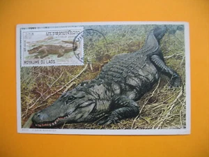 Card Maximum Laos- Carte Maximum Laos- Crocodile  - Picture 1 of 1