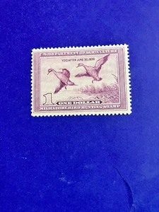 # RW5 Duck MVLH VF Scott Value $200.00 Tab Hinge - Picture 1 of 2