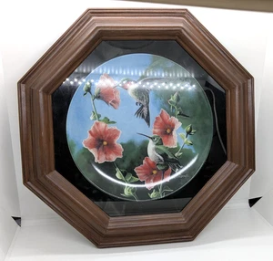 Placa enmarcada The Hummingbird 1986 Kevin Daniel, Edwin Knowles Collection - Imagen 1 de 6