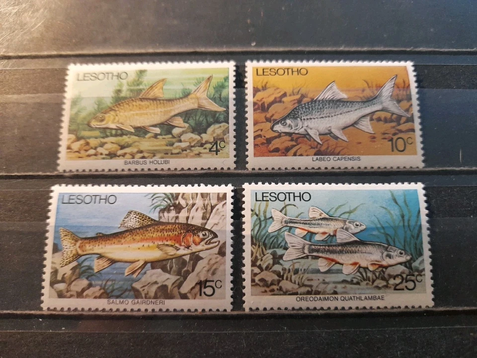 Africa Lesotho 🇱🇸 Stamps 1977 Fish. Complete Set. MNH  - Image 1 of 1