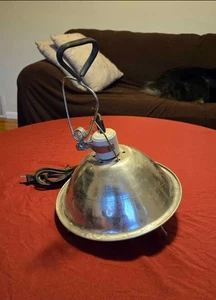 300 W 6 Fuß Brutmaschine Klemme Arbeitsleuchte Wärmelampe 18/2 SJTW 10" Reflektor Birnenschutz - Bild 1 von 5