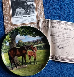 Spode englischer Vollblutteller von Susie Whitcombe - Bild 1 von 7