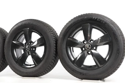 Winterkompletträder Skoda Karoq NU7 Nanuq 215/60 R16 95H 16 Zoll 57A601025 S-T - Bild 1 von 4