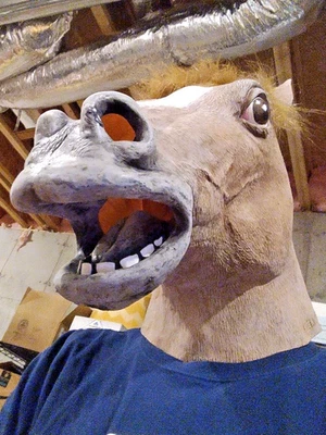 Máscara cabeza caballo espeluznante y par de cascos/guantes pezuña látex Halloween Foto 1 de 2