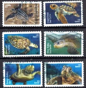 Estampillas de Estados Unidos: 2024 tortugas marinas SC5865-70 (6) usadas fuera de papel - Imagen 1 de 1