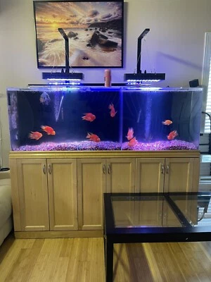 Pecera (150 gal) Foto 1 de 4