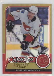 2008-09 O-Pee-Chee Rainbow Foil Metal Stephane Yelle #314