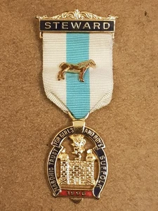 Vintage 1996 Gilt Metal Masonic Trust for Girls & Boys Steward Jewel - Suffolk - Picture 1 of 6
