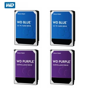 WD 1TB 2T 3T 4TB HDD Blue PC Purple Surveillance Hard Drive Western Digital 3.5" - Picture 1 of 21