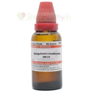 Dr. Willmar Schwabe Sanguinaria canadensis Dilution 30ml Choose Potency FS - Picture 1 of 7