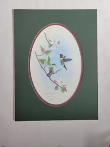 Ronald Louque Ruby-Throated Hummingbirds Signed Print 479/750, 1981, Matted - Picture 1 of 5